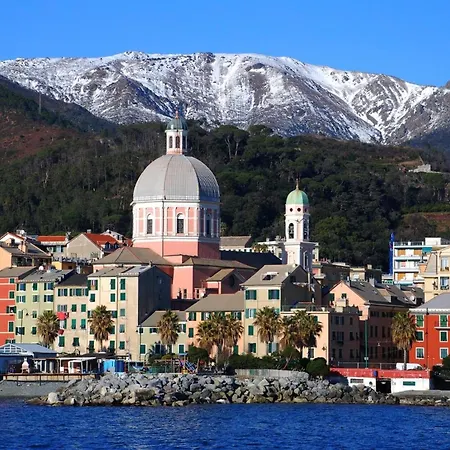 La Casa Dei Sogni Di Dory