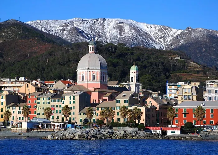 La Casa Dei Sogni Di Dory